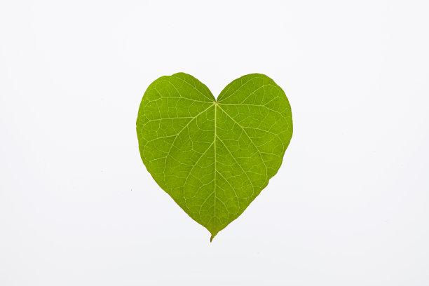 绿色的叶子和可爱的心形图案图片下载
