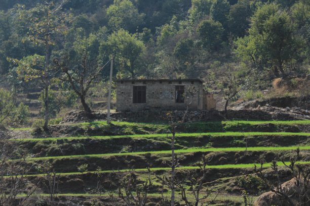 山上有农田，地里有绿意图片下载