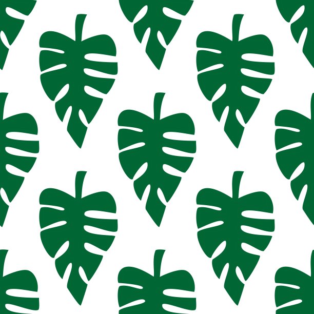 外来热带矢量无缝模式。棕榈树的叶子，怪兽，丛林中的叶子。手绘。采购产品设计，包装纸，织物，纺织品，地毯，衣服，墙纸，潮流背景。图片下载