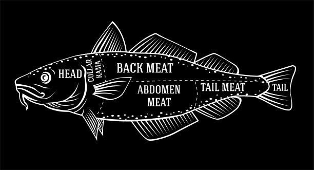 鳕鱼图切割指南图片下载