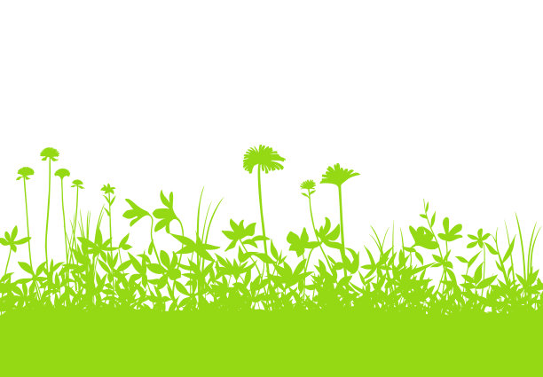 背景材料，开花植物图片下载