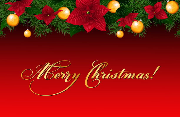 圣诞卡片，一品红的花和问候。图片下载