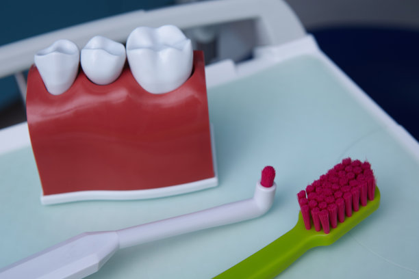 牙科模型和牙刷。牙科背景的概念图像。口腔卫生背景图片下载