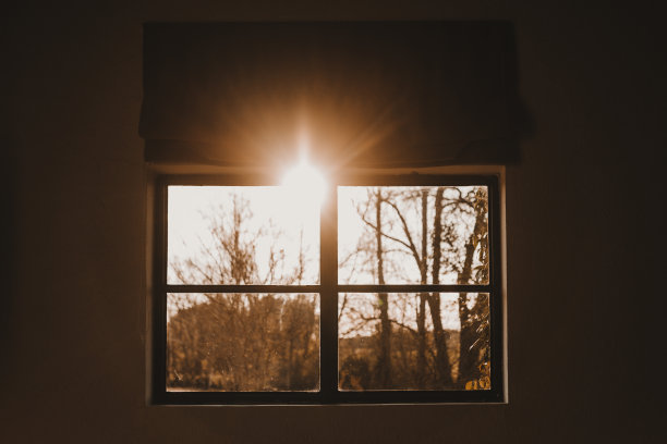 晨曦或晚霞的光影气候。奇异的光线穿过树，阴影和光线照射在现场。早晨或日落的背景概念。温暖的色调图片下载