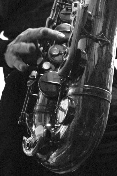 萨克斯 (图片下载