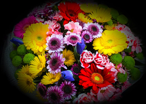 明亮美丽的鲜花花束：红色和黄色非洲菊、紫色鸢尾花、红色康乃馨、绿色、黄色、粉色和紫色菊花图片下载