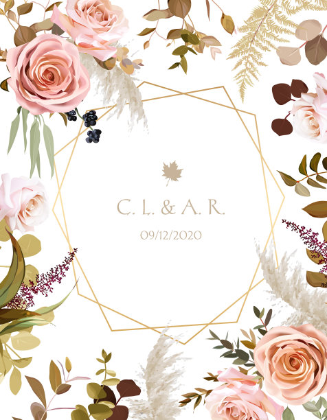 几何植物矢量设计框架图片下载