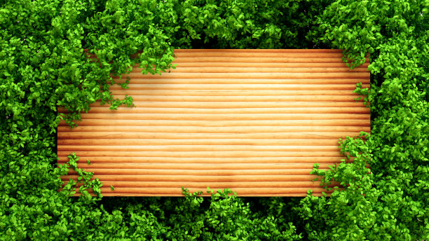 夏天的旗帜，树木和树叶。3d渲染，3d渲染。图片下载