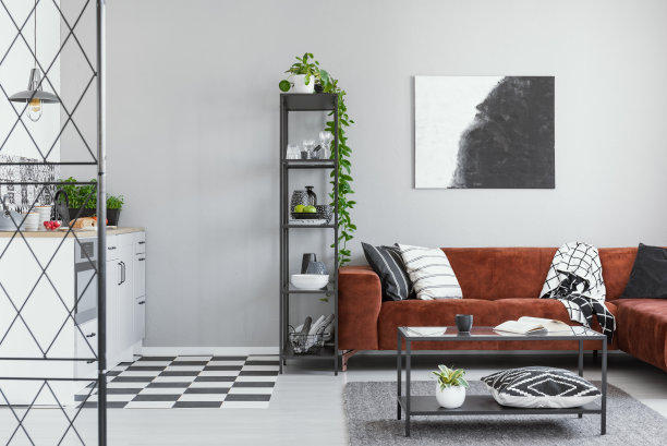 黑色金属书架在灰色斯堪的纳维亚客厅内部与棕色天鹅绒沙发图片下载
