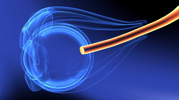 人体眼交会解剖学三维示意图图片下载