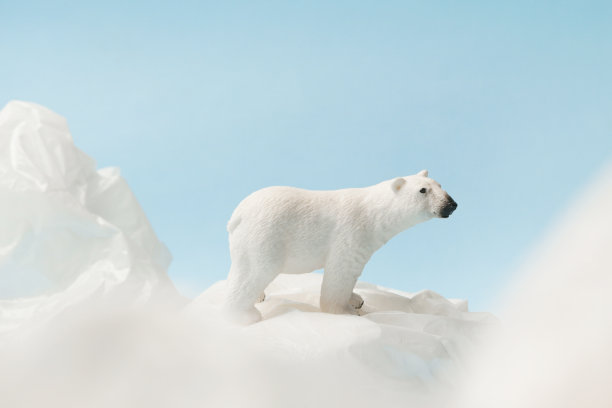 白色的北极熊在塑料袋上，蓝色的背景，塑料污染和气候变化的概念图片下载