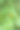 树枝上有红色的毛毡樱桃。近距离的照片。樱桃的小浆果。品种的植物。水滴在树叶上。图片下载