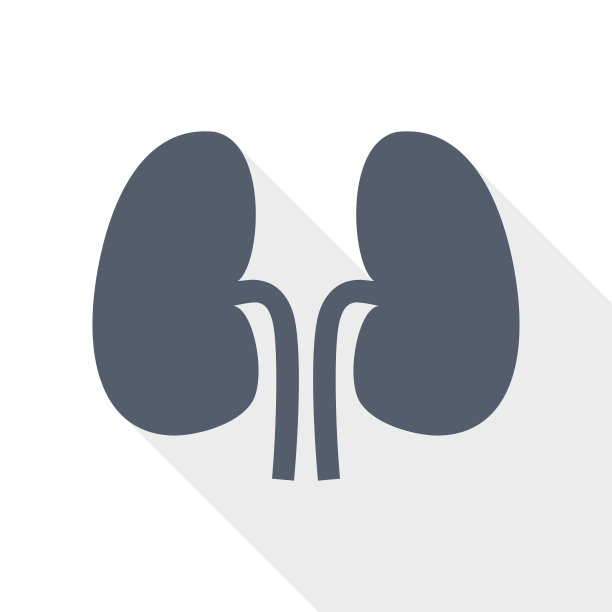 平面设计肾脏图标，泌尿学概念插图图片下载