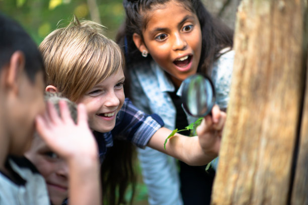 多民族青年在树桩上看虫子的照片图片下载