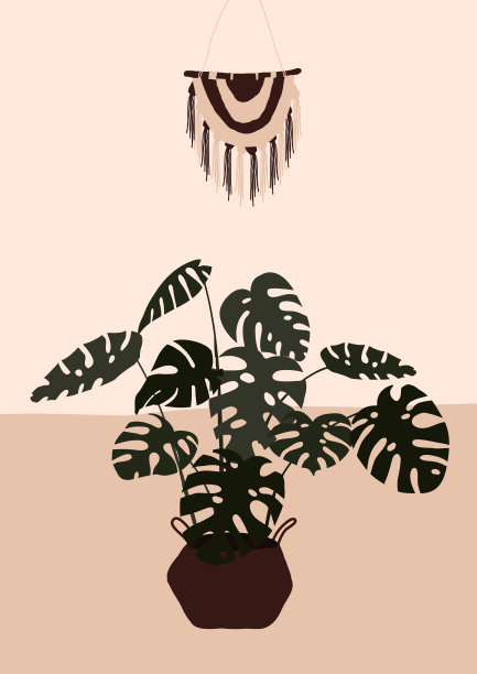 抽象的现代花盆与怪物植物在光的背景图片下载