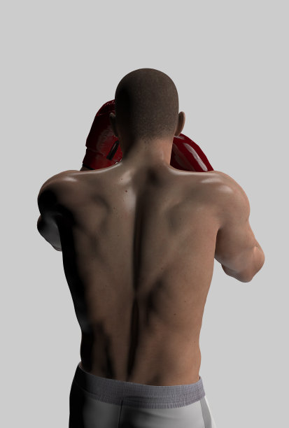 拳师站着，保护自己的后视图半身体3d渲染图片下载