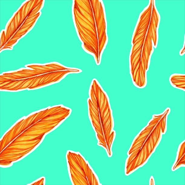 羽毛图案图片下载