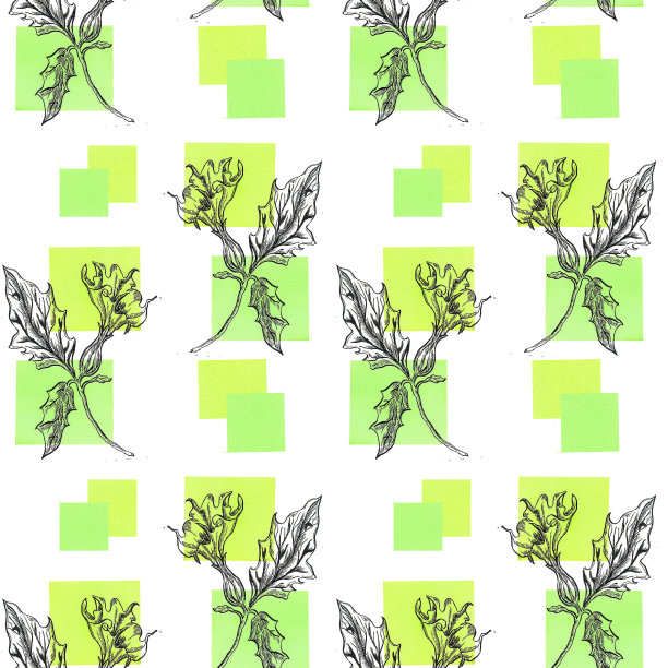 带有装饰性色彩元素的花卉图案图片下载