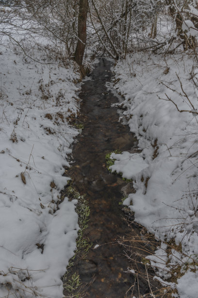 在苏玛瓦国家公园的冬雪中，有冰雪的霍德斯拉夫斯基溪图片下载
