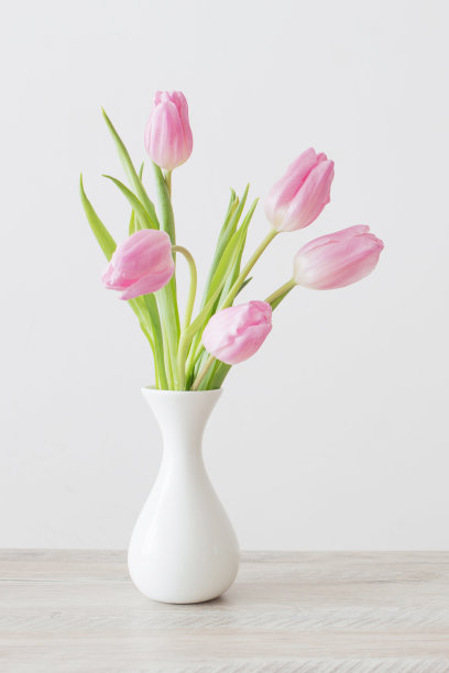 白色背景墙上的木桌上，白色陶瓷花瓶上插着粉红色的郁金香图片下载