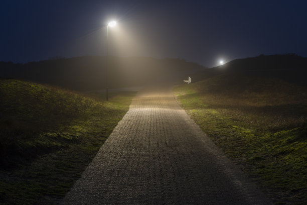 雾中被照亮的路径图片下载