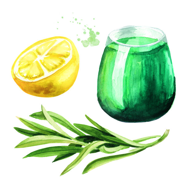 由龙蒿和柠檬与嫩枝或龙蒿和成熟柠檬组合而成的清爽饮料。手绘水彩插图，孤立的白色背景图片下载