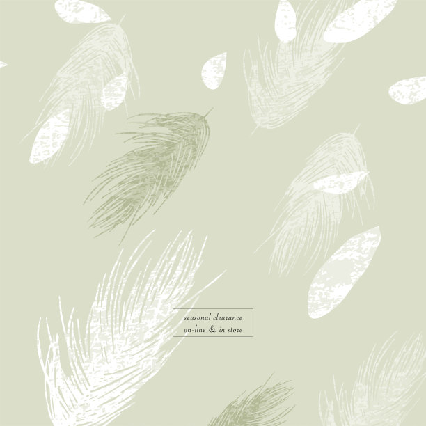 羽毛图案图片下载