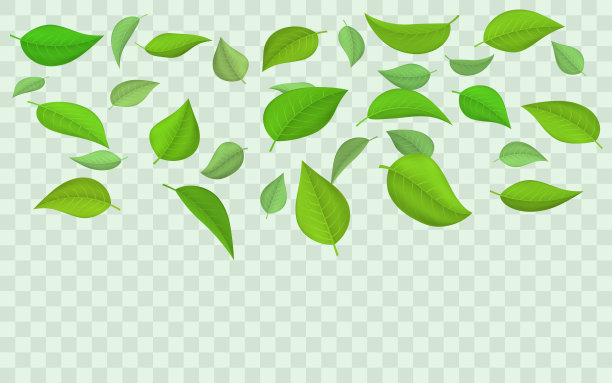 春天飞落绿叶图片下载