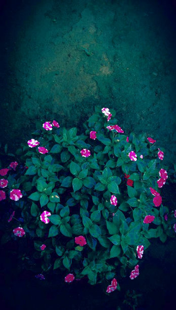 抽象的背景图片下载