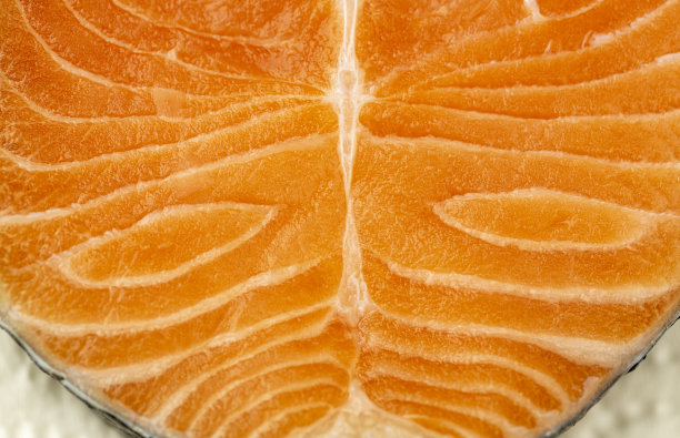 鲜红鲑鱼质地图片下载