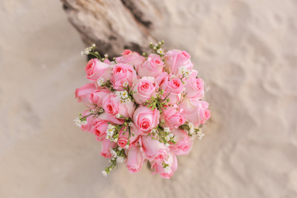 粉色玫瑰花束图片下载