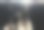 在俄克拉何马州韦尔奇的农场里，正在吃谷槽的牛图片下载