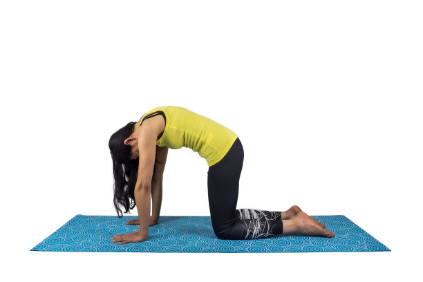 一个女瑜伽老师在marjariasana姿势图片下载