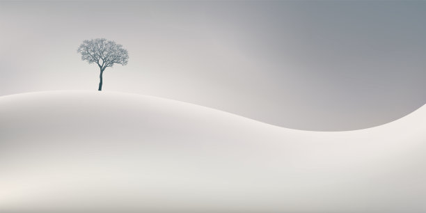 在白雪皑皑的景色中，一棵迷失的树。图片下载