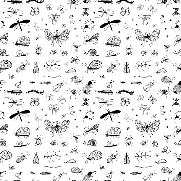 手绘无缝图案与昆虫或小动物素描图片下载