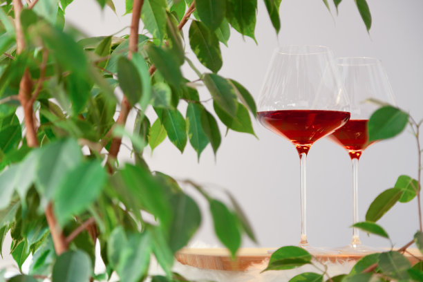 现代厨房的木桌上放着两杯红酒，镶着绿树的叶子。垂直的。Copyspace。文字、字母的概念场所，在生物有机酒窖品尝，在酿酒厂品尝图片下载