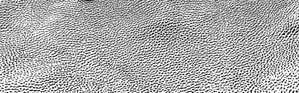 矢量图案的纹理的皮肤的动物。真皮图片下载