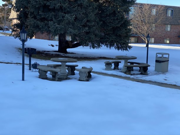 雪后美丽的景色与树木和建筑物图片下载