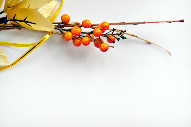一束人造花。分支,浆果,叶子。图片下载