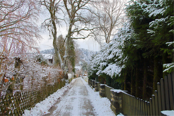 冬天的乡间小路。图片下载
