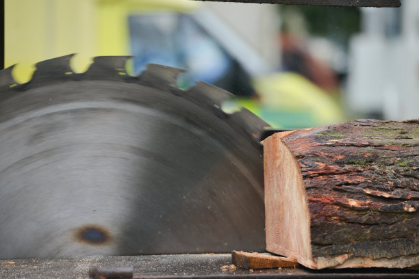 圆锯把圆木锯成片。图片下载