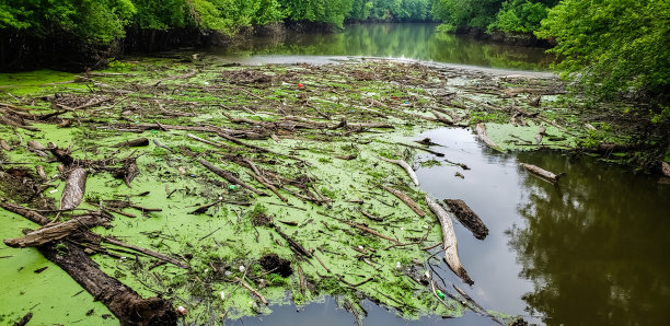 被洪水淹没的小溪中的碎片的垂直视图图片下载