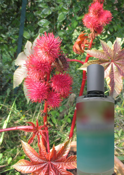 蓖麻油头发和指甲护理图片下载