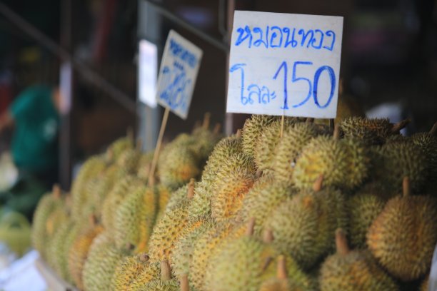 清迈水果市场的榴莲零售商店。Muang Mai市场是当地最大的水果市场之一图片下载