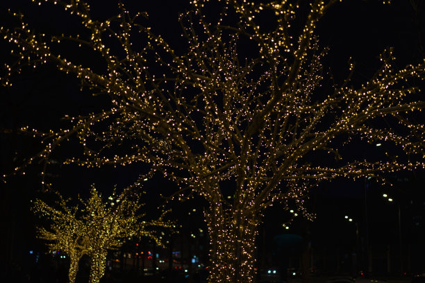 树上装饰着明亮的花环。图片下载