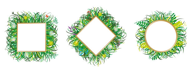 用草和花装饰的框架。绿色的草与开花的草本植物和雏菊的细枝。图片下载