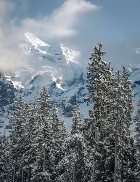 冬日之光图片下载