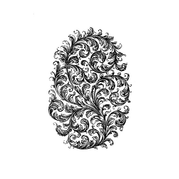 花卉设计摘自1886年的《英语画报》图片下载