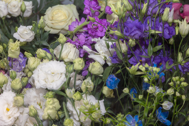 花店冰箱橱窗里的各种鲜花图片下载