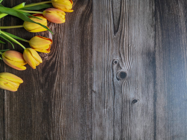 花卉组成与郁金香图片下载